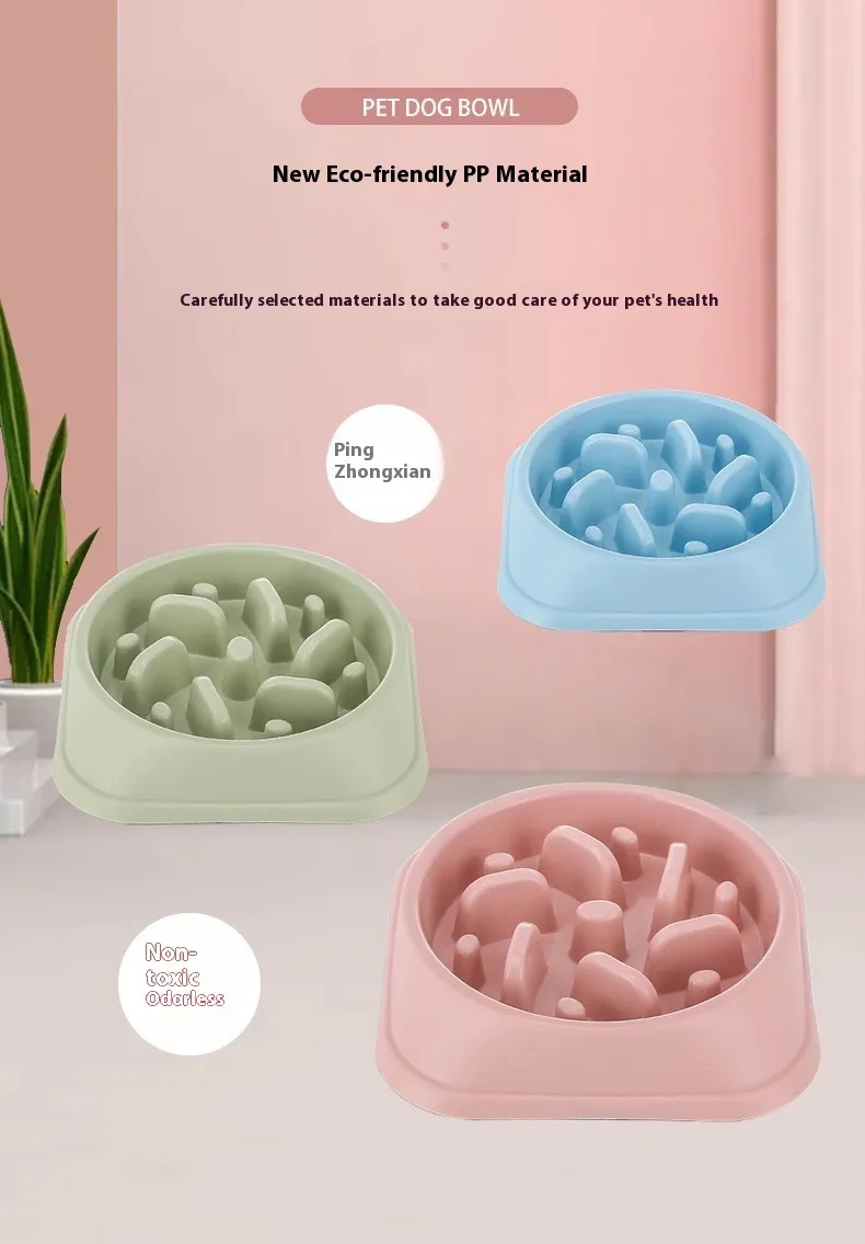 Pet Slow Food Bowl 4