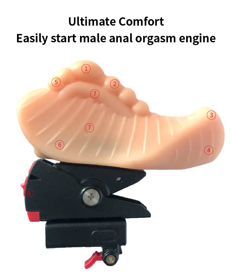 Standard-Size Massage Head Detailed View