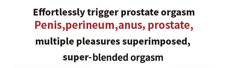 Fully Automatic Insertive Blended Orgasm Masturbator Detail 5
