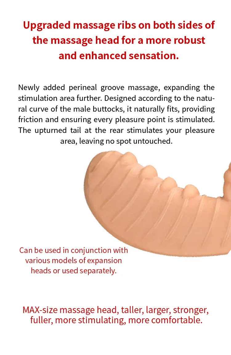 Extra Large-Size Massage Head 05