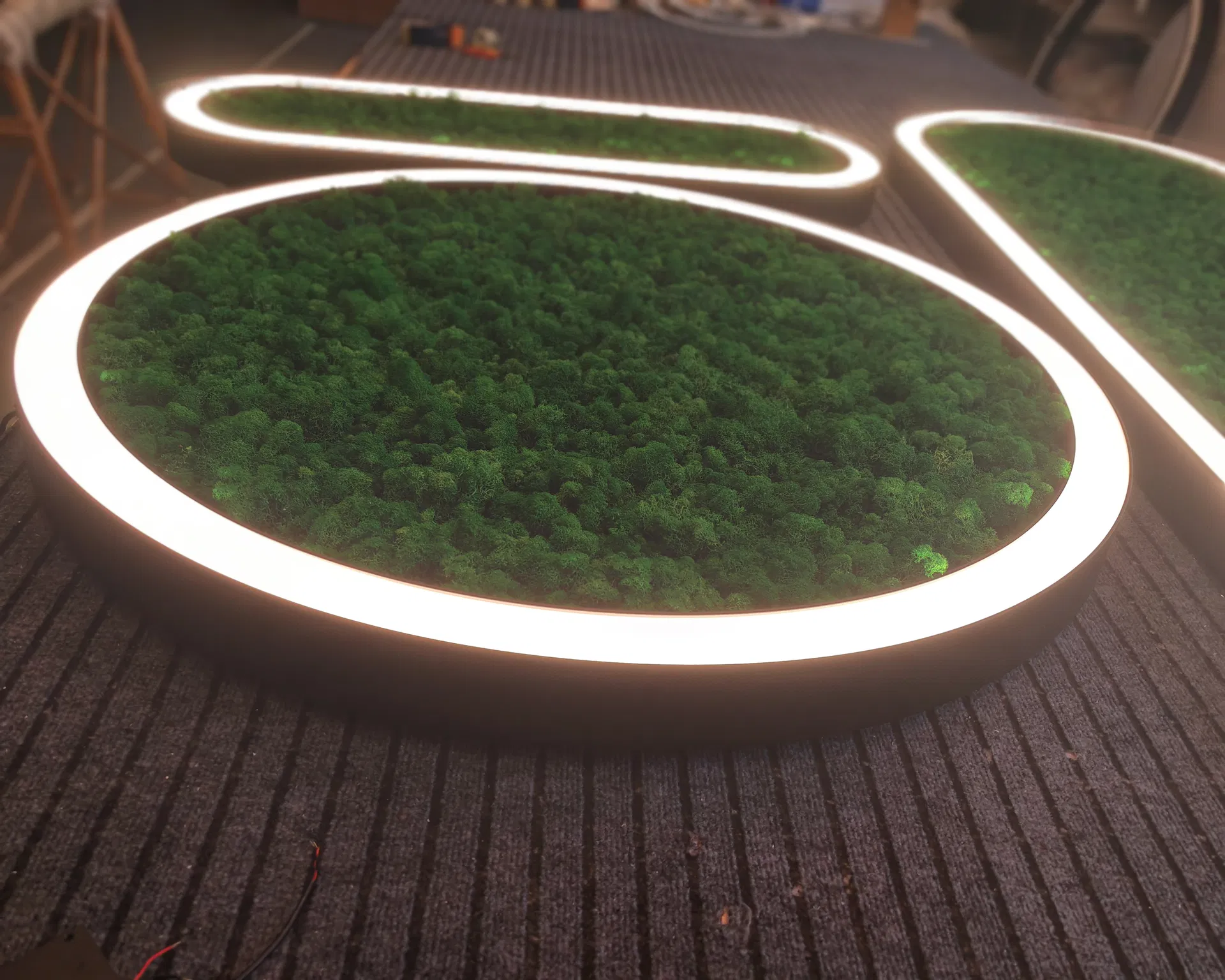 Green Moss Light View 5