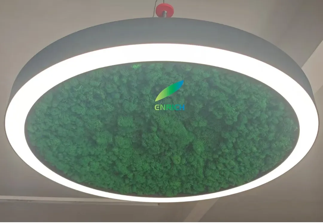 Green Moss Light View 2