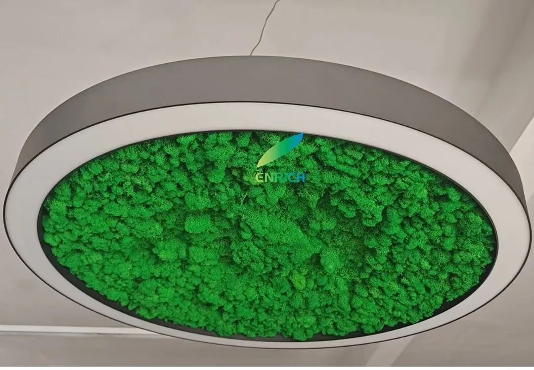 Green Moss Light View 1