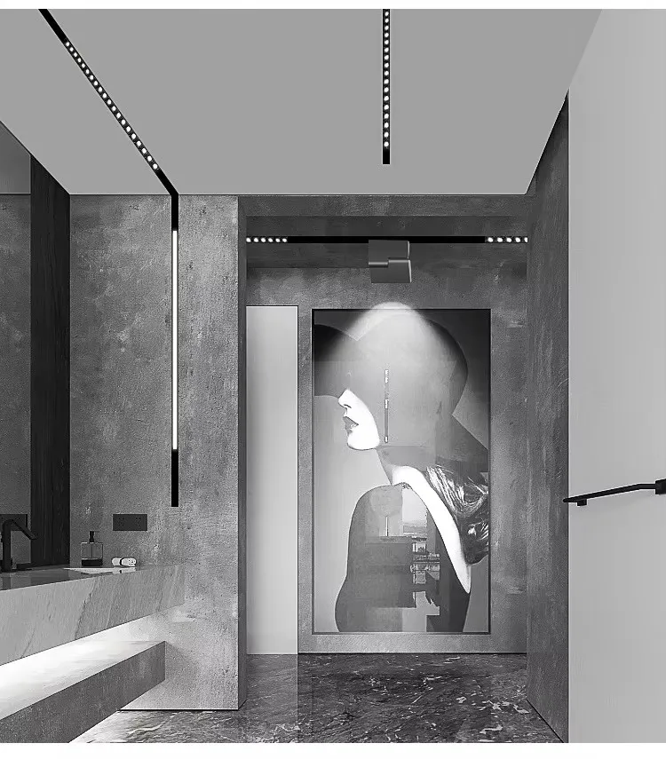 Track Linear Light 1