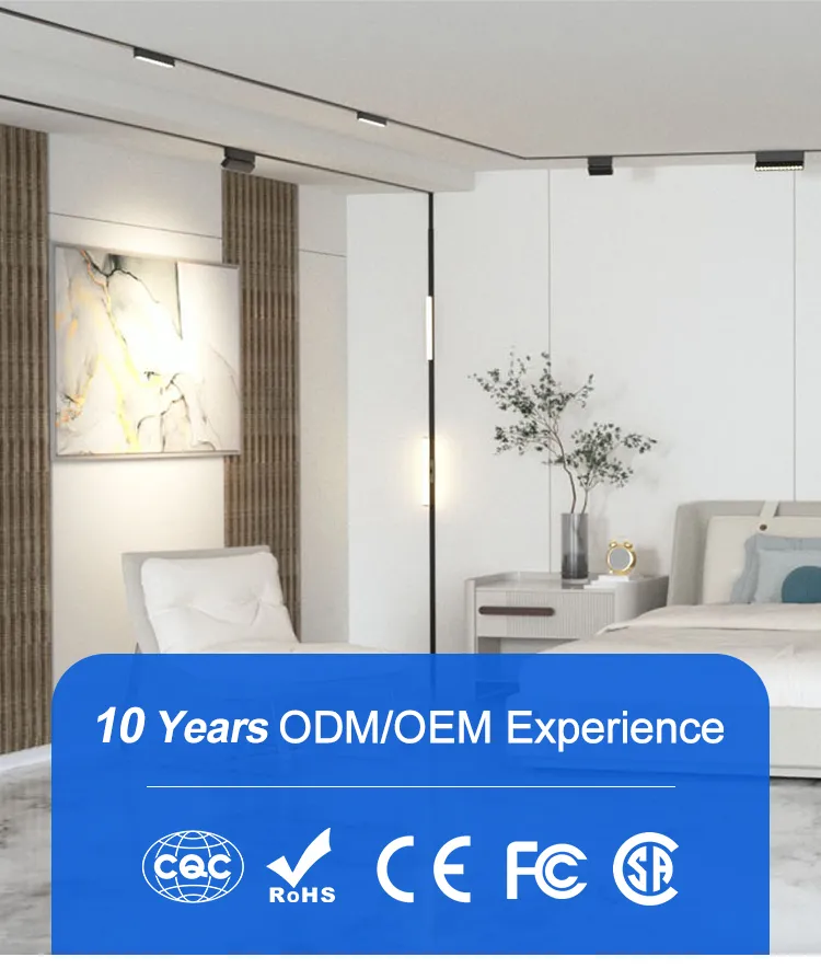 Track Light Installation