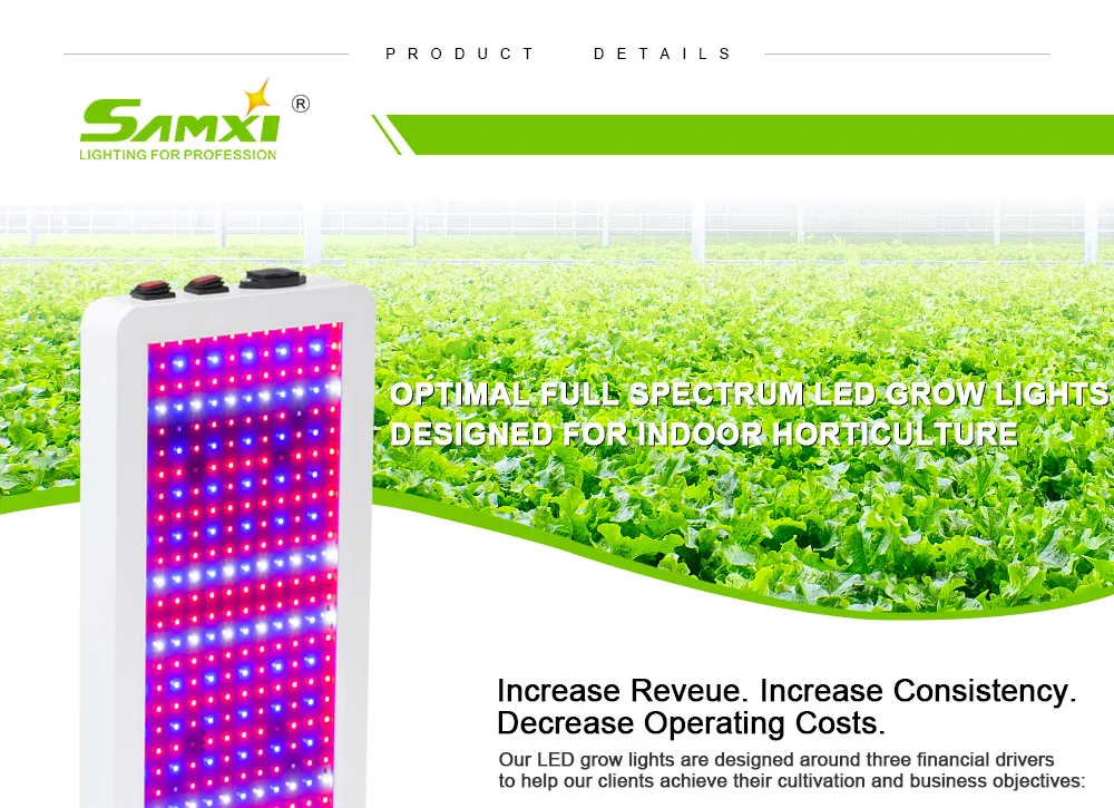 Hanging Kit and Setup