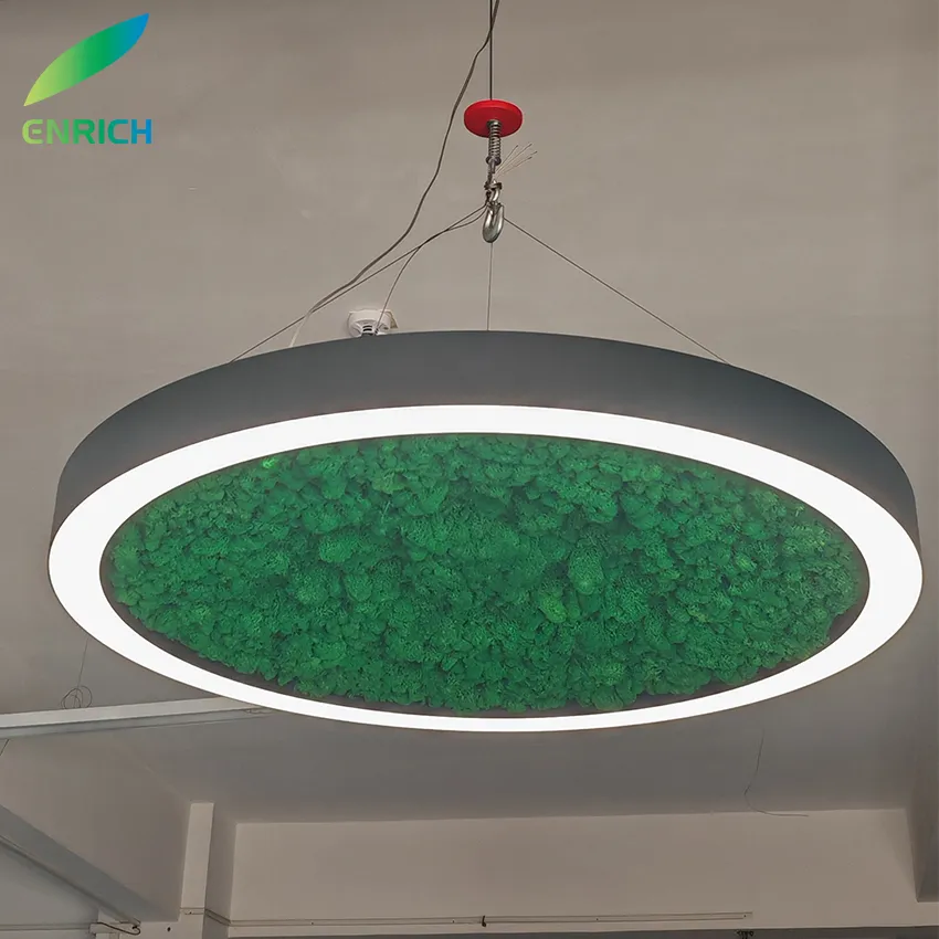 Green Moss Light View 3