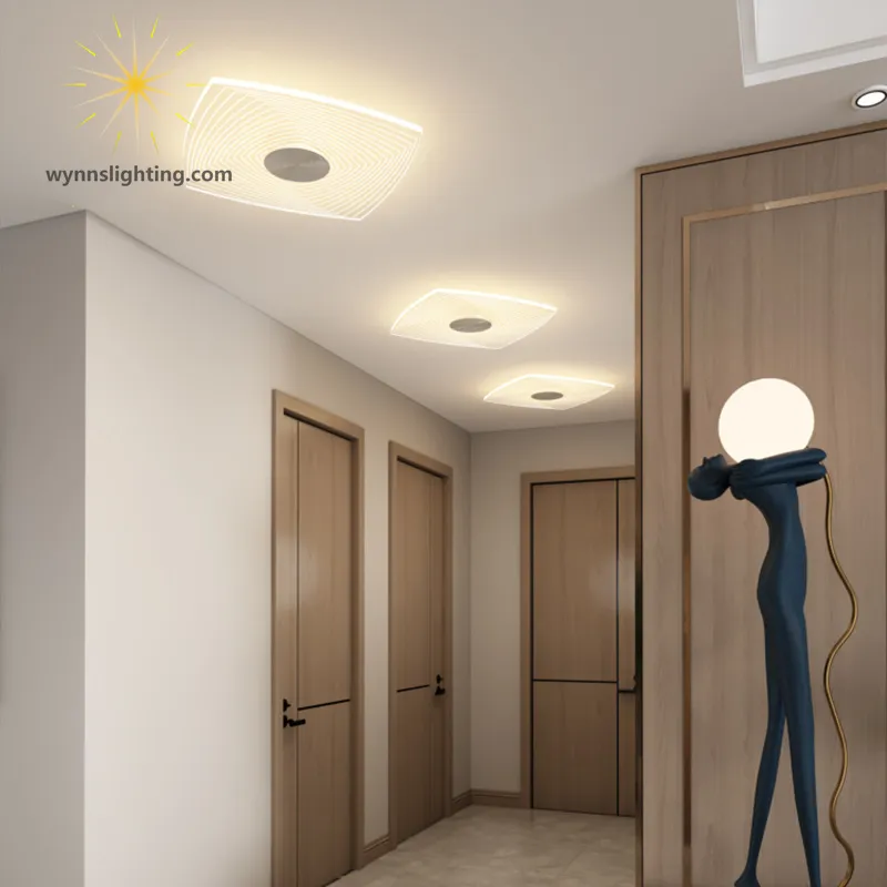 Modern Ceiling Lamp 4