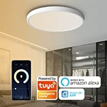 IP44 Music Mode Group Control 5-Year Warranty Rgbcw WiFi Control Dimmable Modern LED Flush Mount Ceiling Light
