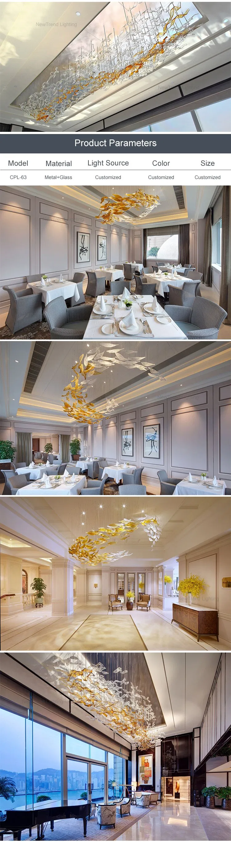 LED Chandelier View 2