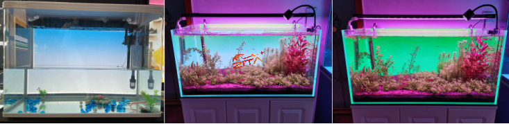 Aquarium backlighting