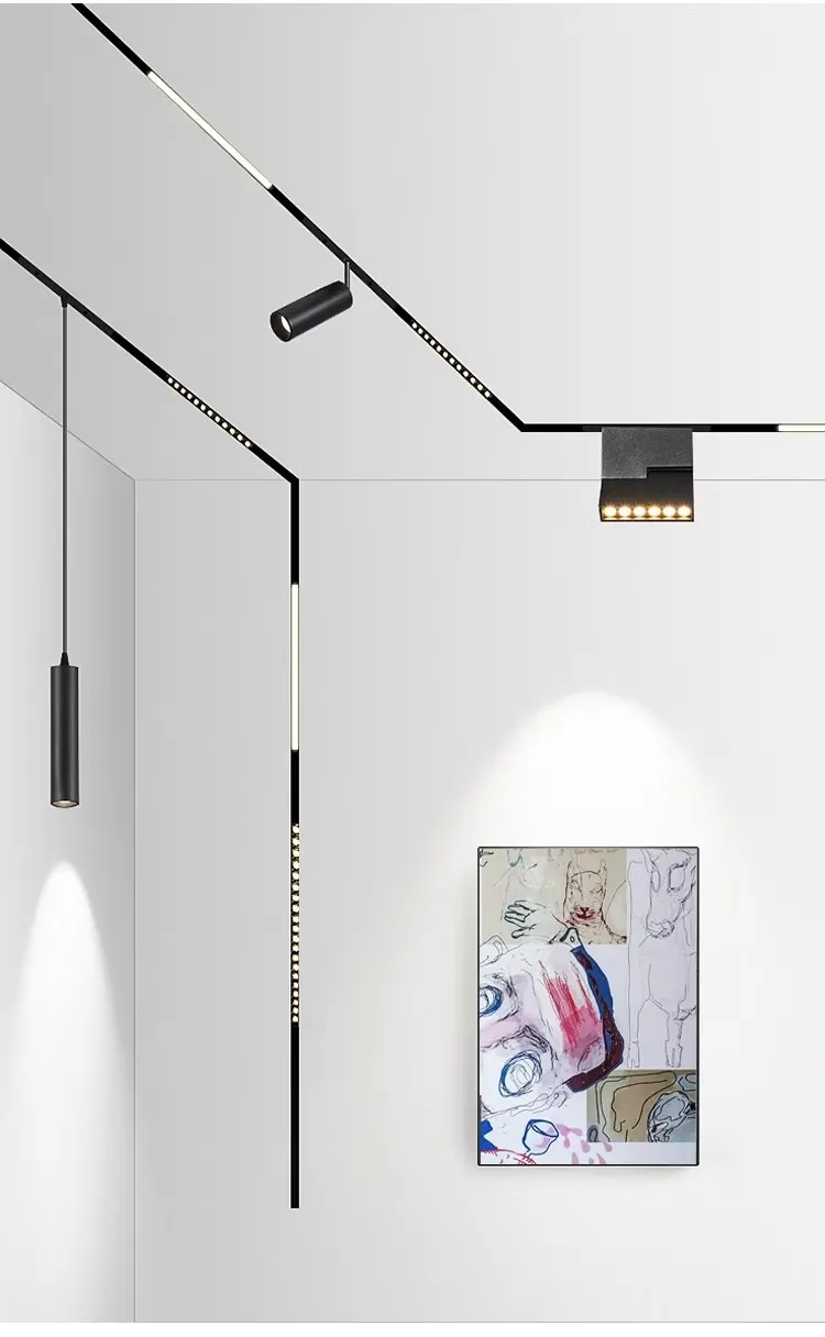 Indoor Magnetic Track System 3