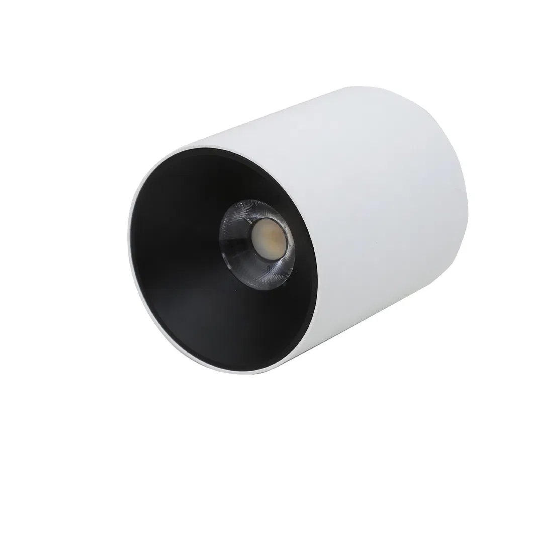 LED Downlight Detail 5