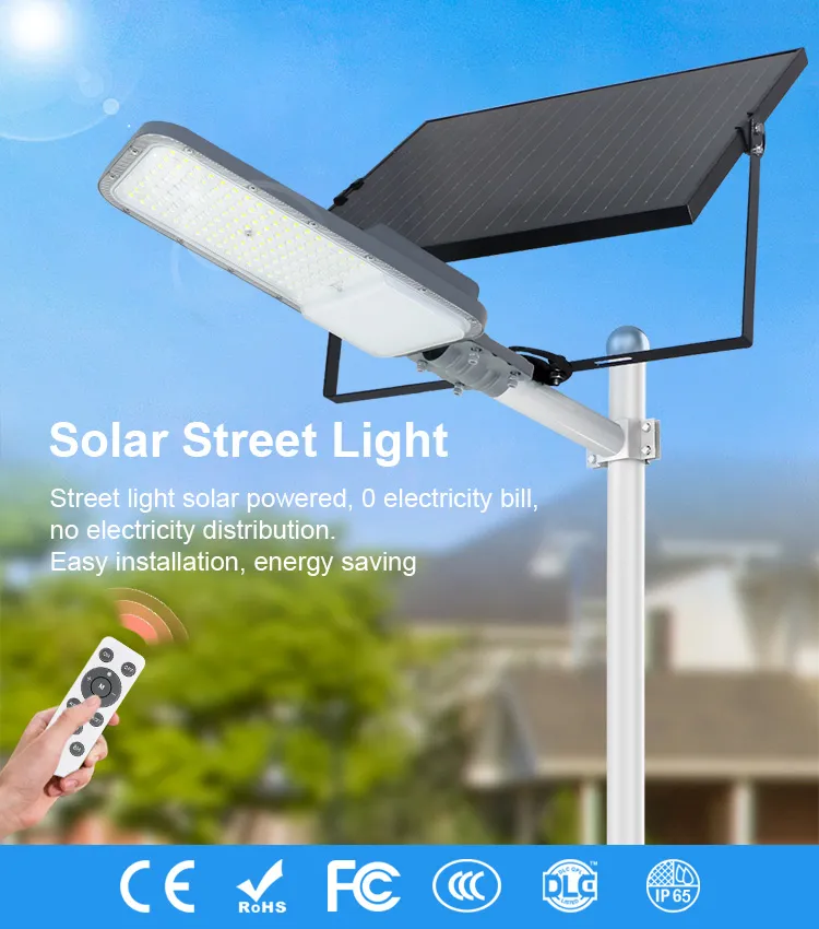 Solar Street Light Main View