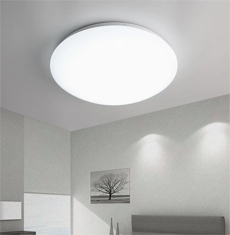 High Lumen CE RoHS Recessed Surface Mounted 4000K Diameter290mm 20W 24W Ultra Slim LED Panel Light