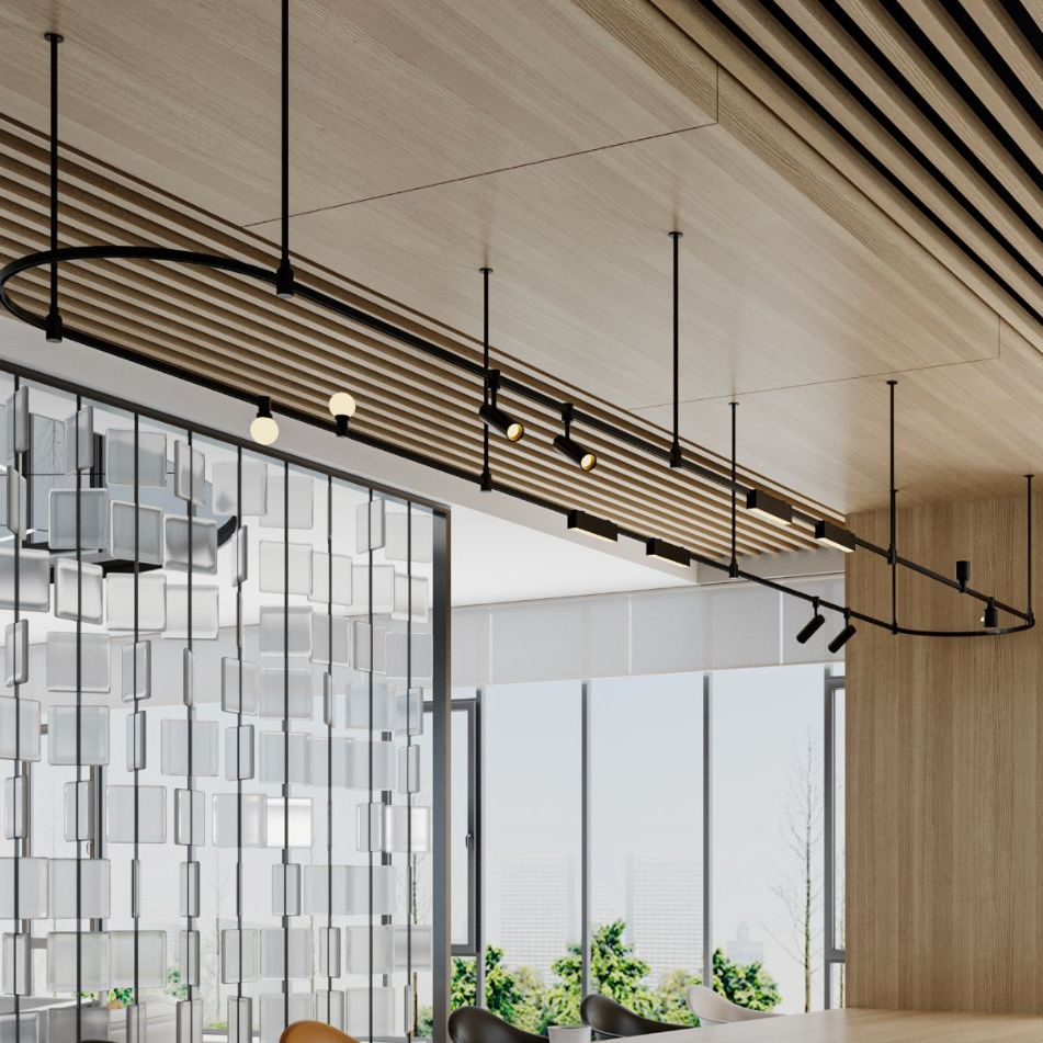 DC48V LED Aluminum Track Lighting System for Commercial Spaces