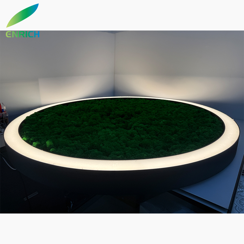 Great Quality 4FT Cutting Pet Panel Dimmable LED Pendant Lights Green Moss Acoustic Luminaries for Restaurant