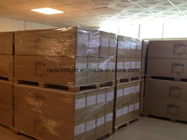 Office Ceiling Lighting 1200X300 36W 40W 48W 60W Flat Surface Mounted LED Panel Light