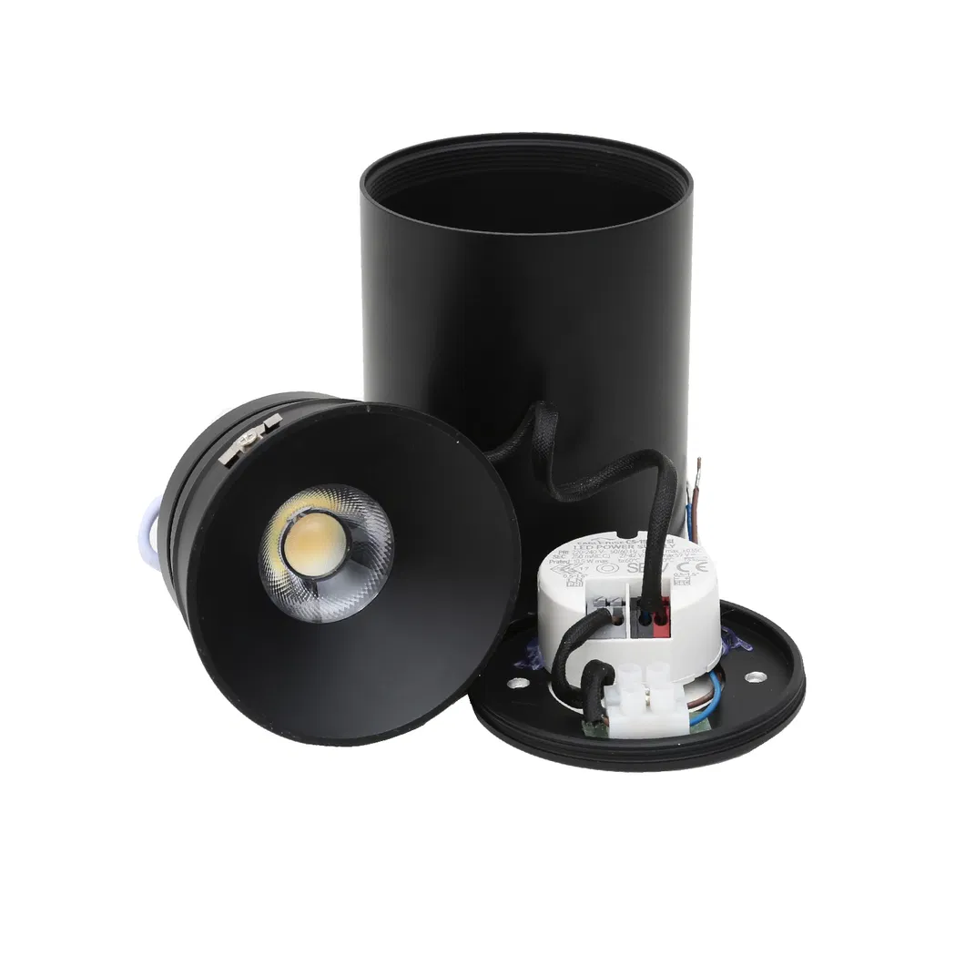 LED Downlight Detail 2