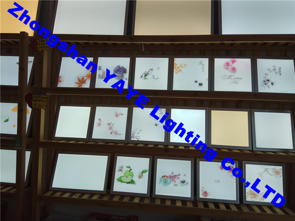 Yaye 18 Factory Price Best Sell 6W/12W/18W/24W/36W/48W Round Surface Mounted LED Panel Light /LED Panel Lamp with Ce/RoHS