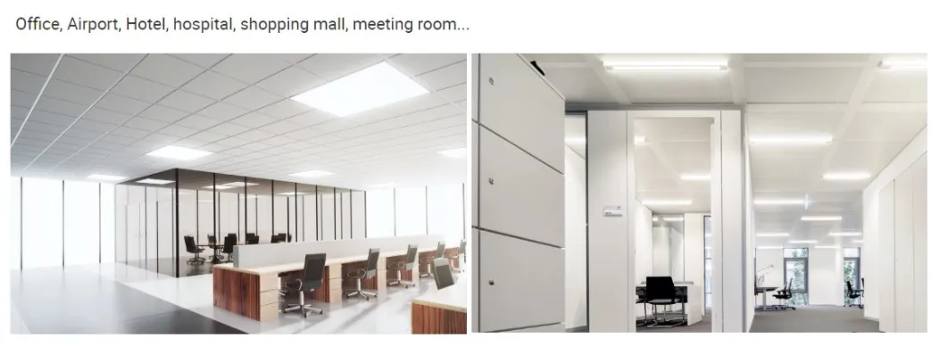 Application Overview