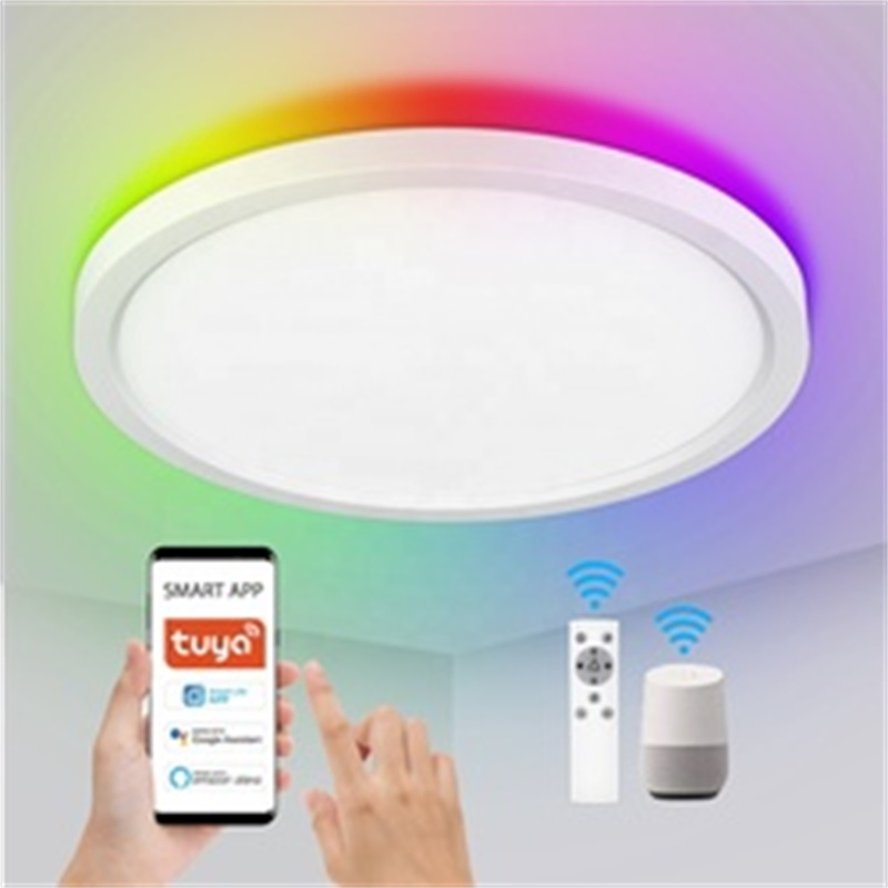 Smart LED Panel Light Slim Round Shape 9W 12W 24W WiFi Connect Tuya Smart Recessed RGB LED Panel Light