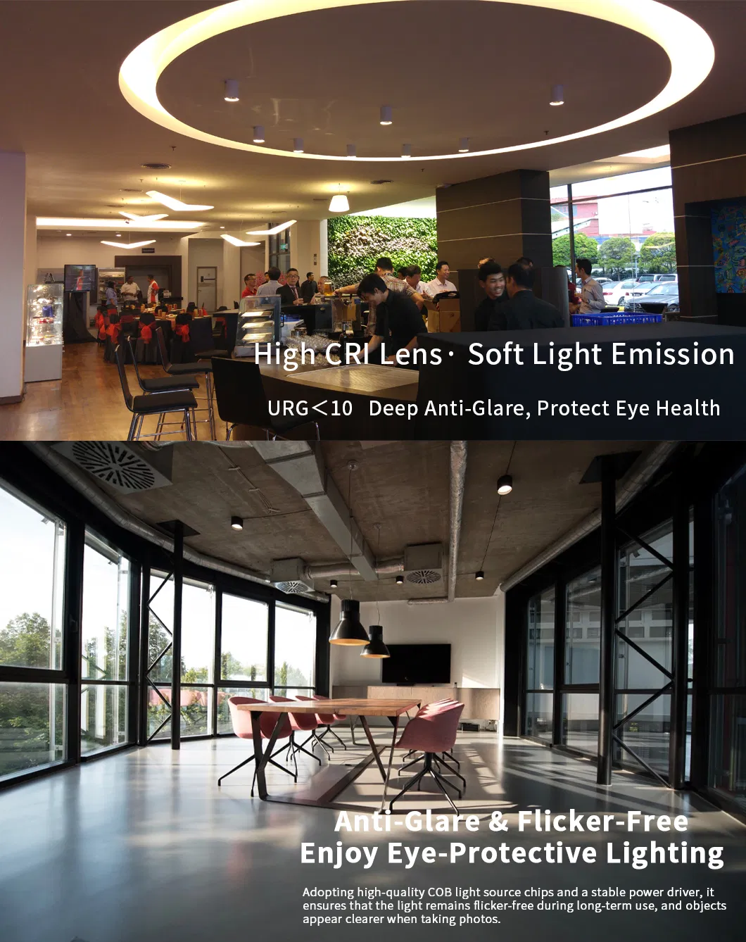 LED Downlight View 5