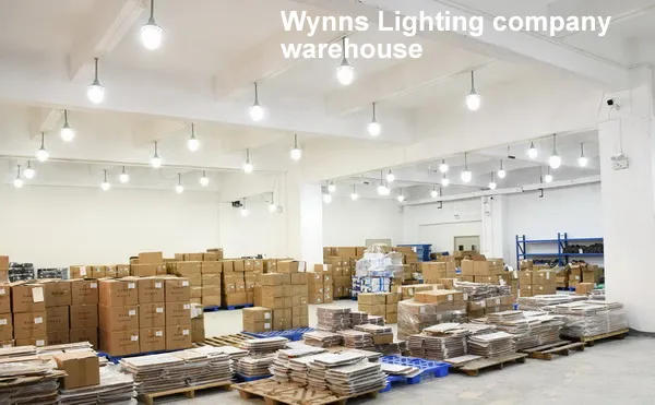 Modern Ceiling Lamp 8