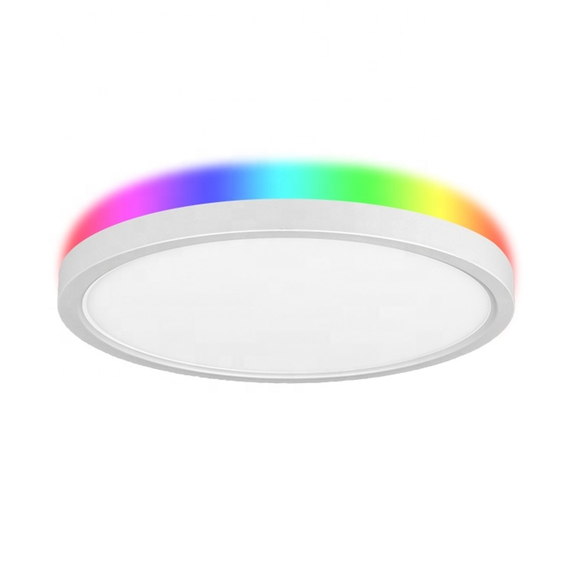 Smart LED Panel Light Slim Round Shape 9W 12W 24W WiFi Connect Tuya Smart Recessed RGB LED Panel Light