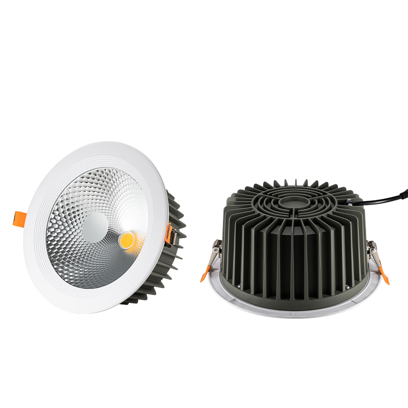 Modern LED Recessed Downlight Ceiling Spotlight for Indoor Spaces Light