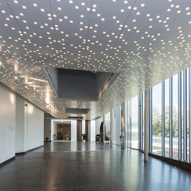 Custom Metal Ceiling System 5