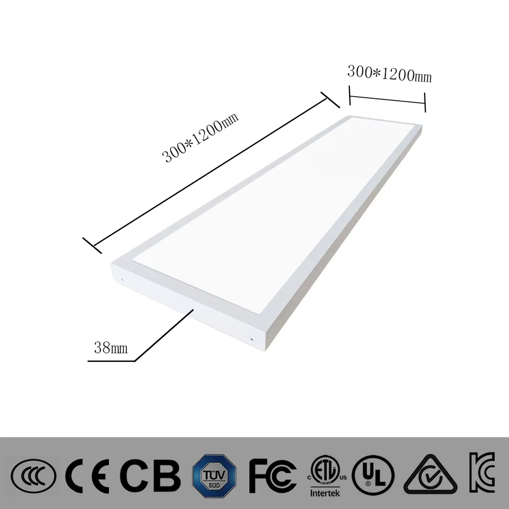 LED Panel Backlit Surface Ceiling Light 300X1200 48W LED Panel Light, Suitable for Offices