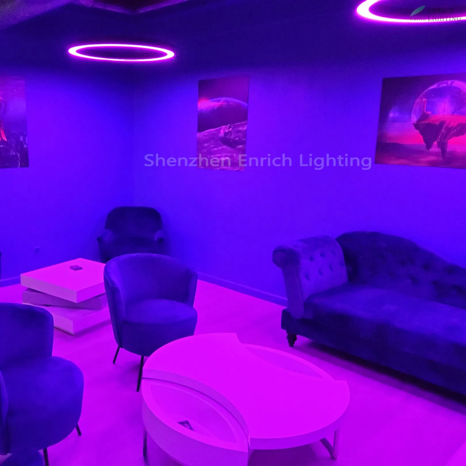 Multi Colors RGB LED Pendant Ring Light Profile RGB Ceiling Circle Light for Bar, Hotel, Lobby, Studio