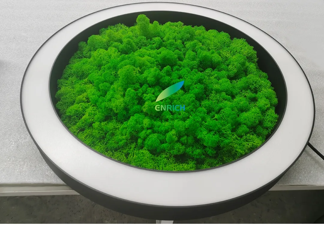 Green Moss Light View 4