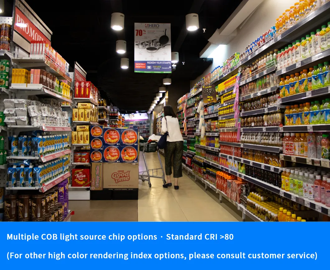 LED Downlight View 6