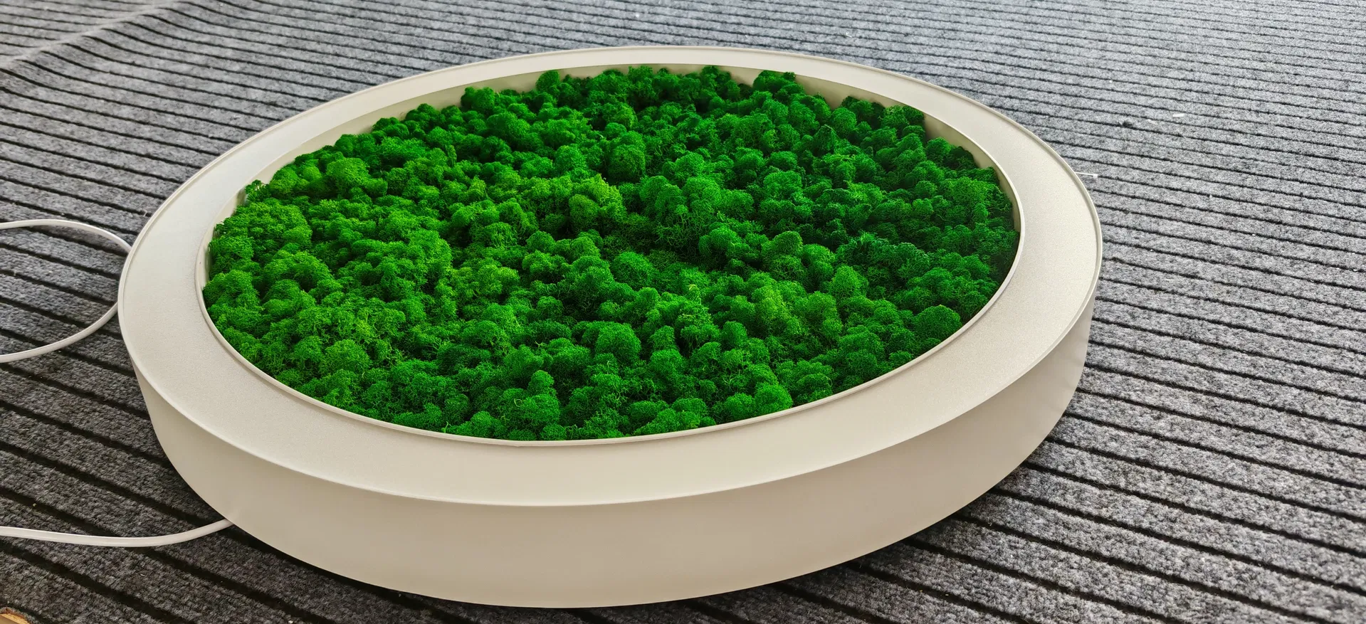 Shell Color Selection