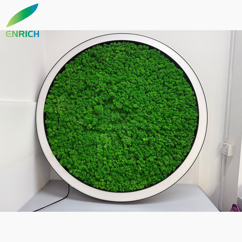 Great Quality 4FT Cutting Pet Panel Dimmable LED Pendant Lights Green Moss Acoustic Luminaries for Restaurant