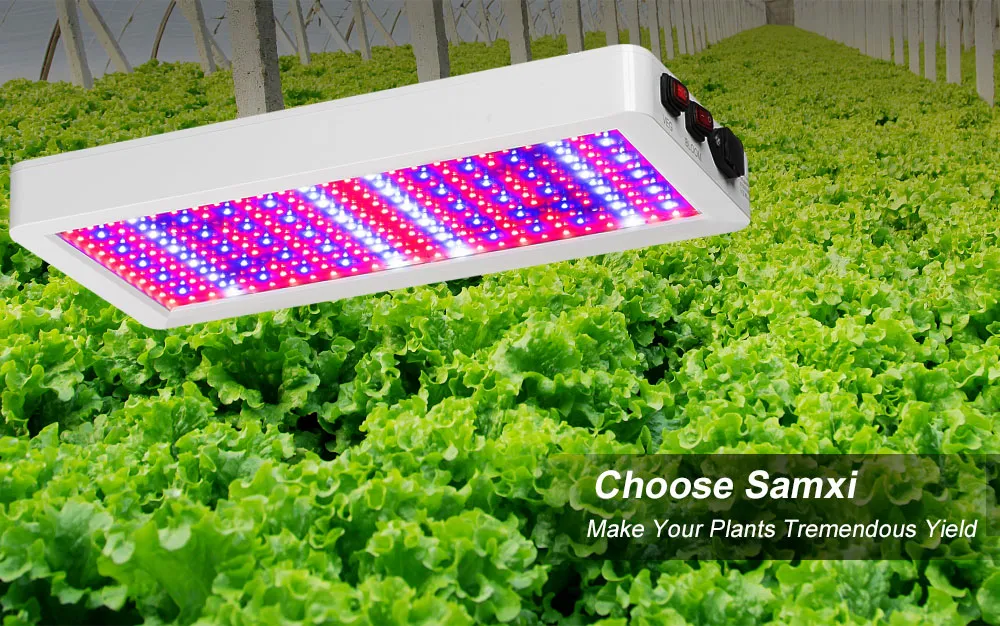 Growth Lamp Application