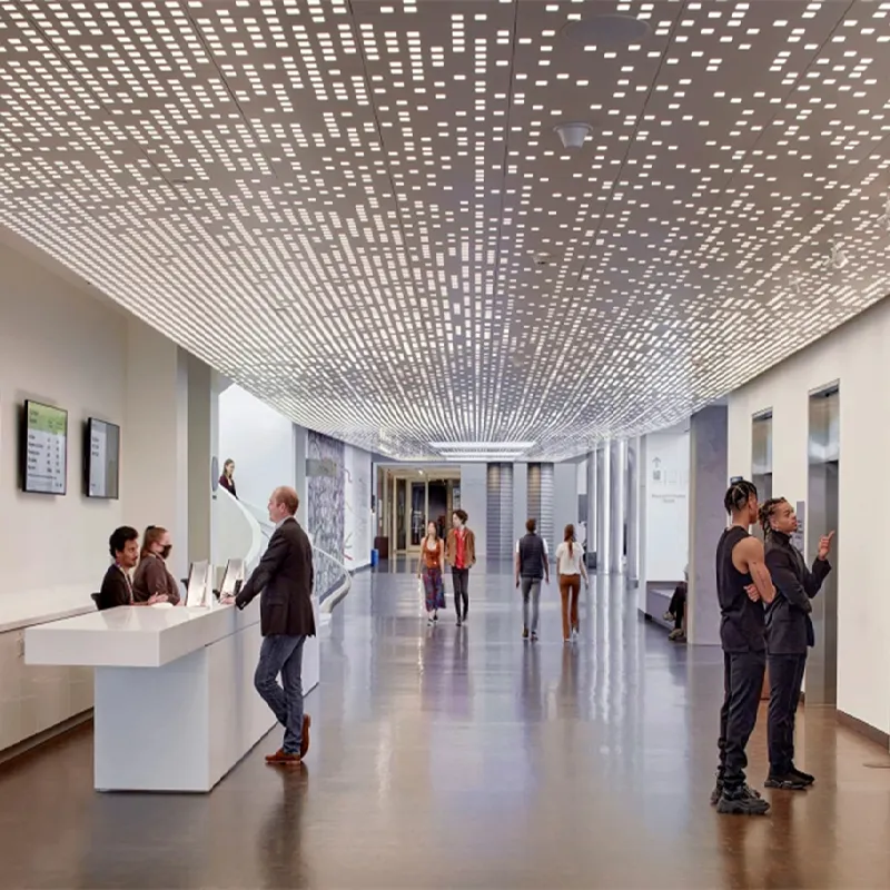 Custom Metal Ceiling System 3