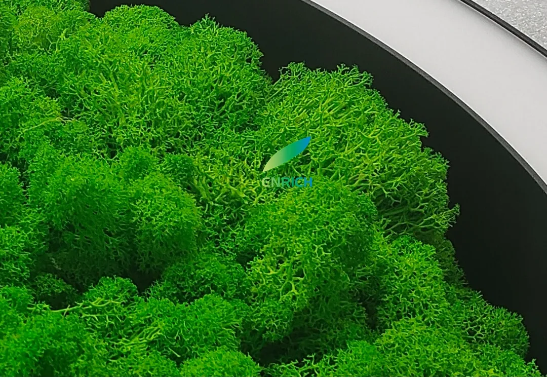 Green Moss Light View 6