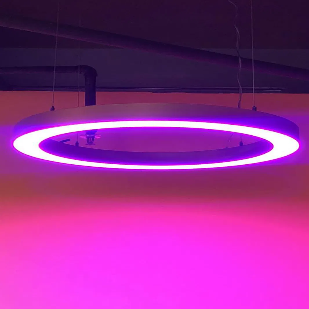 Multi Colors RGB LED Pendant Ring Light Profile RGB Ceiling Circle Light for Bar, Hotel, Lobby, Studio
