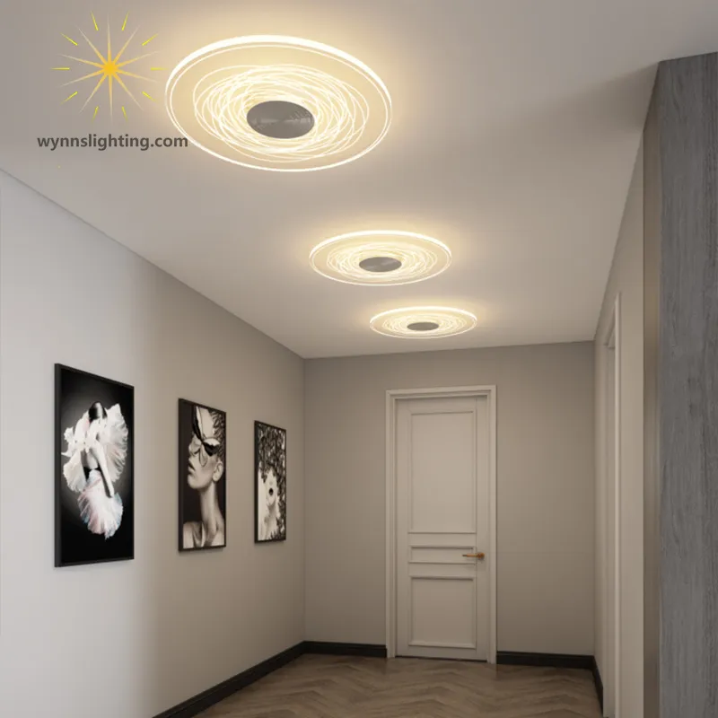Modern Ceiling Lamp 2