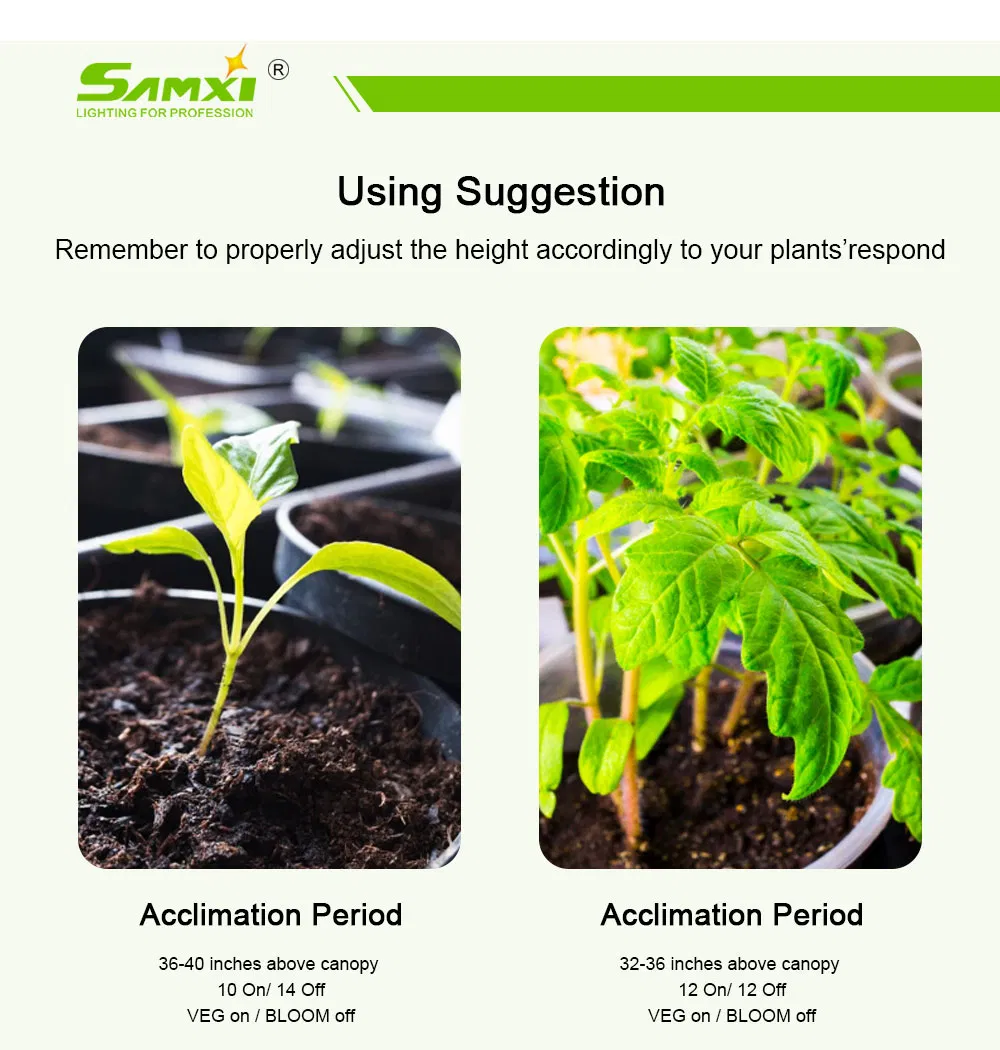 Plant Lighting Spectrum