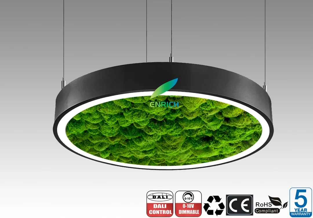 Acoustic LED Pendant Light