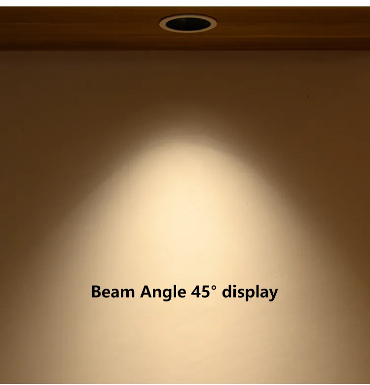 LED Downlight Detail 7