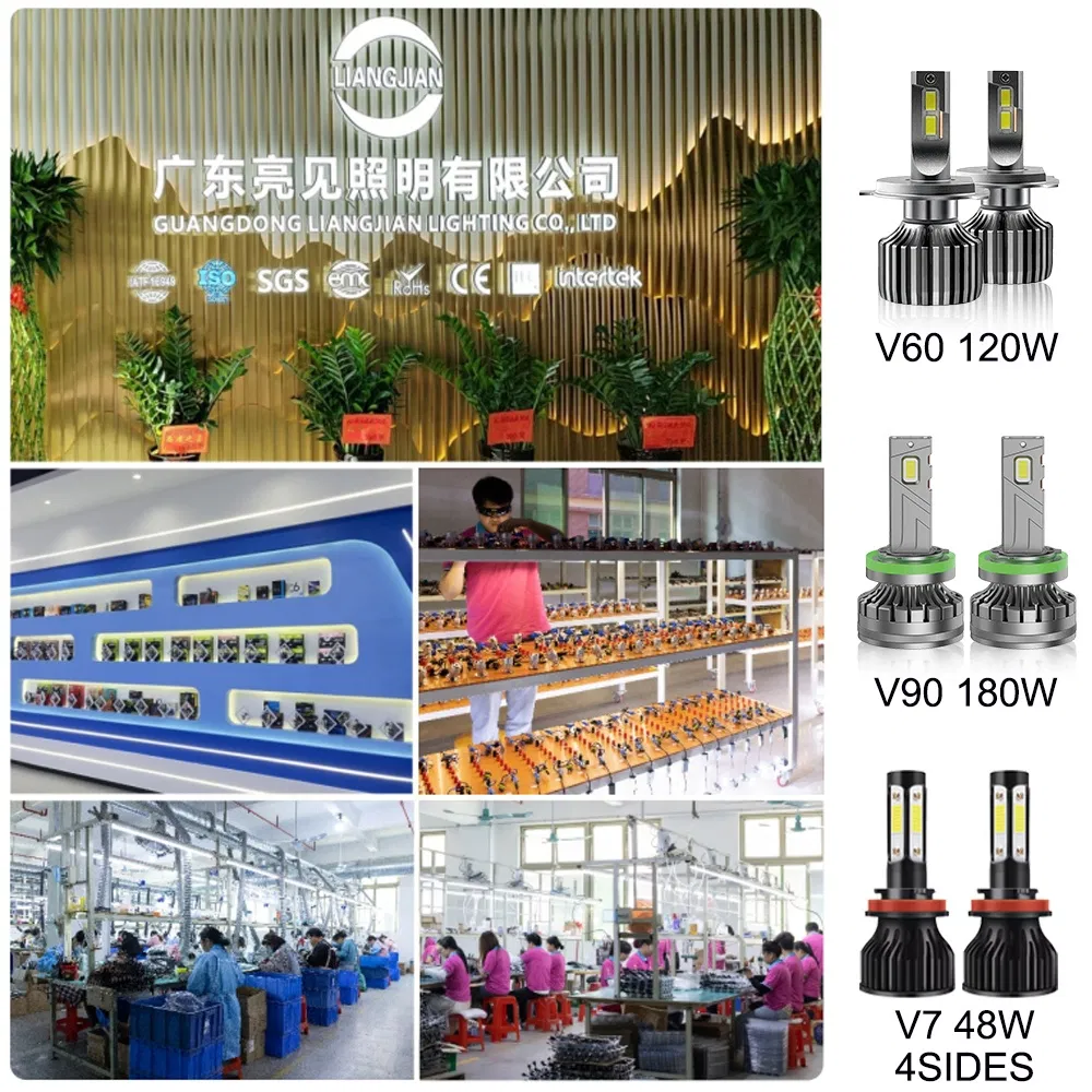 Product Display Area