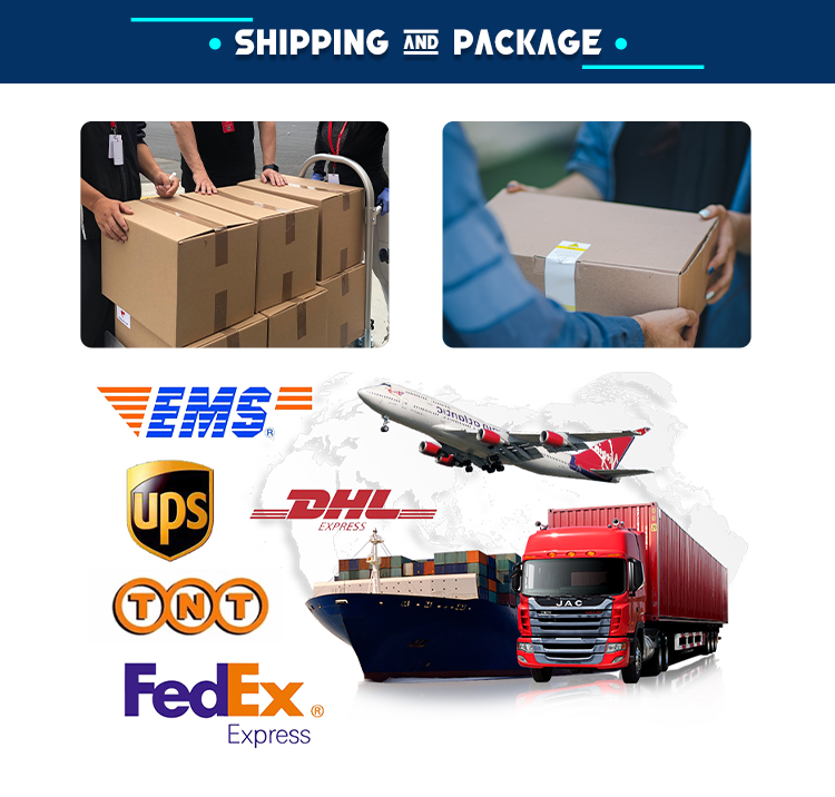 Standard Export Packaging and Logistics