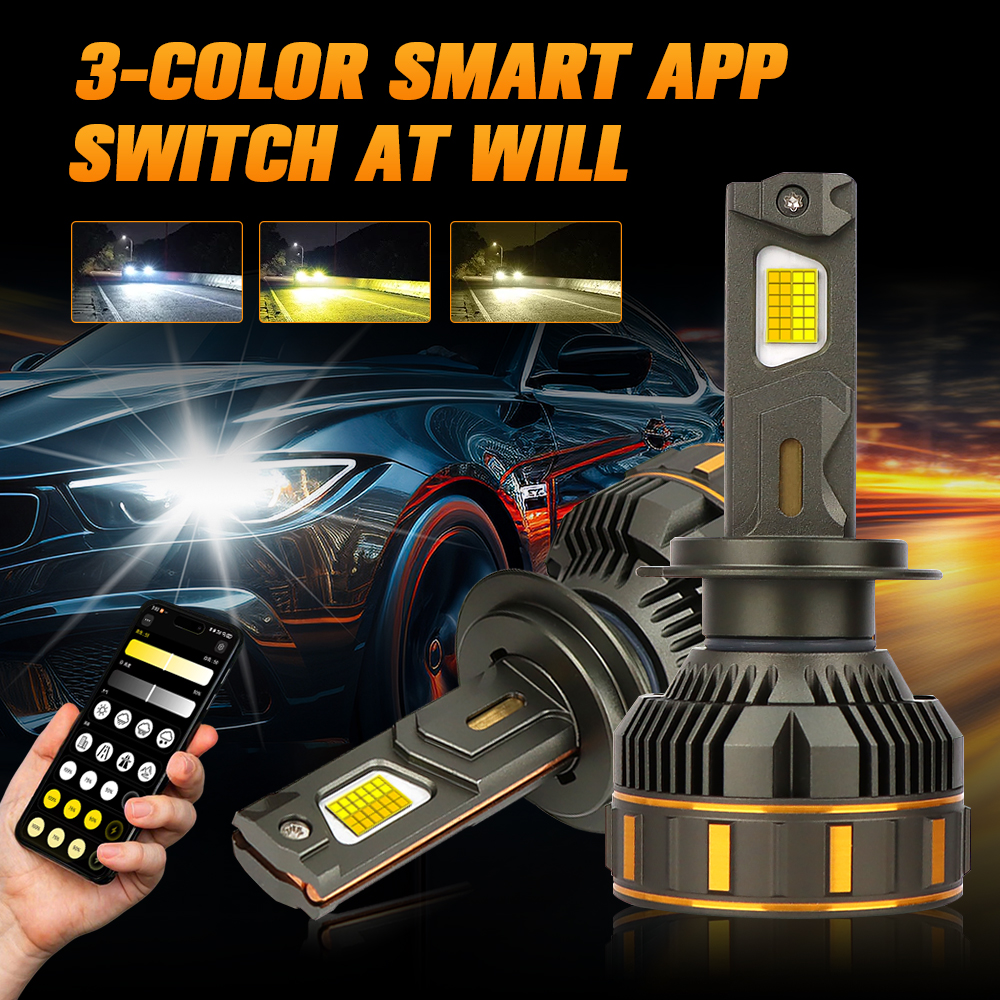 Product View 4