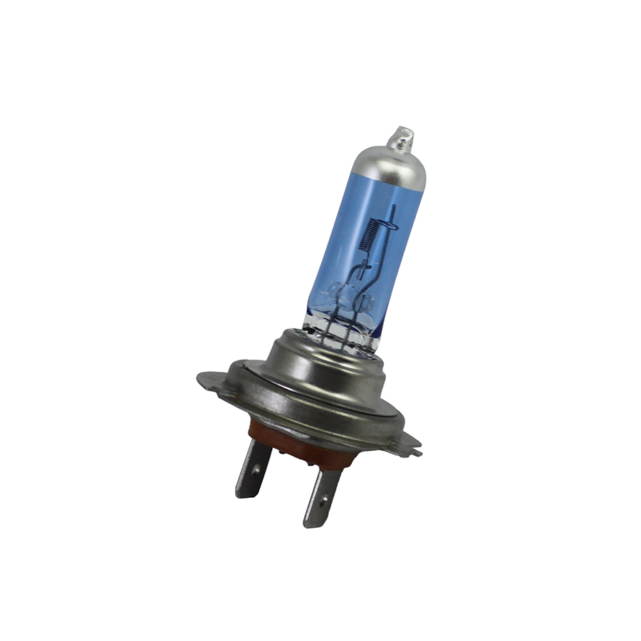 Professional Manufacture H7 12V 55W 100W Headlight Halogen Light Bulbs