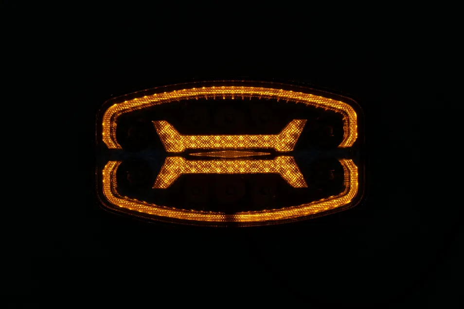 LED Work Light Visual 4